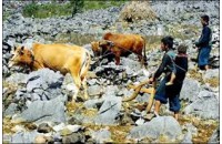 ĐẠI LÝ VÉ MÁY BAY TẠI HÀ GIANG